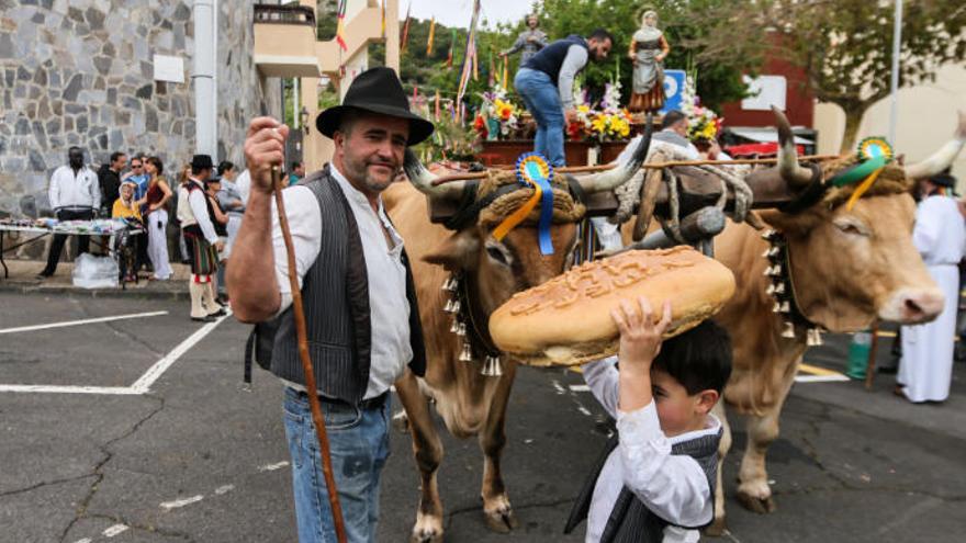 Las Mercedes celebra este domingo la XLVII Romería en honor a San Isidro Labrador y Santa María de la Cabeza