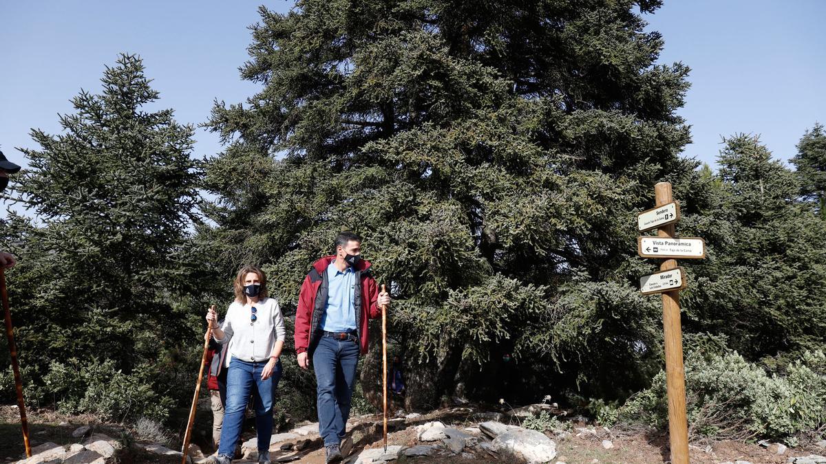 El presidente Sánchez visita la Sierra de las Nieves