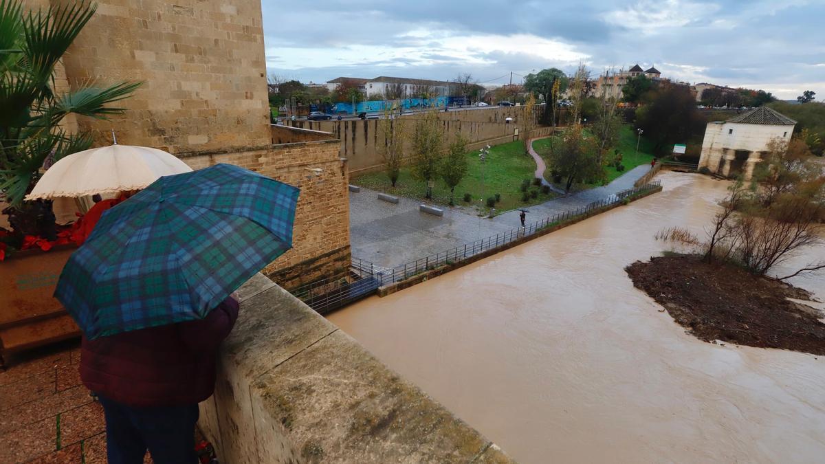 La crecida del río Guadalquivir a su paso por Córdoba