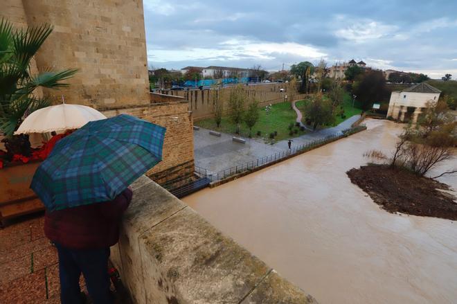 La crecida del río Guadalquivir a su paso por Córdoba.