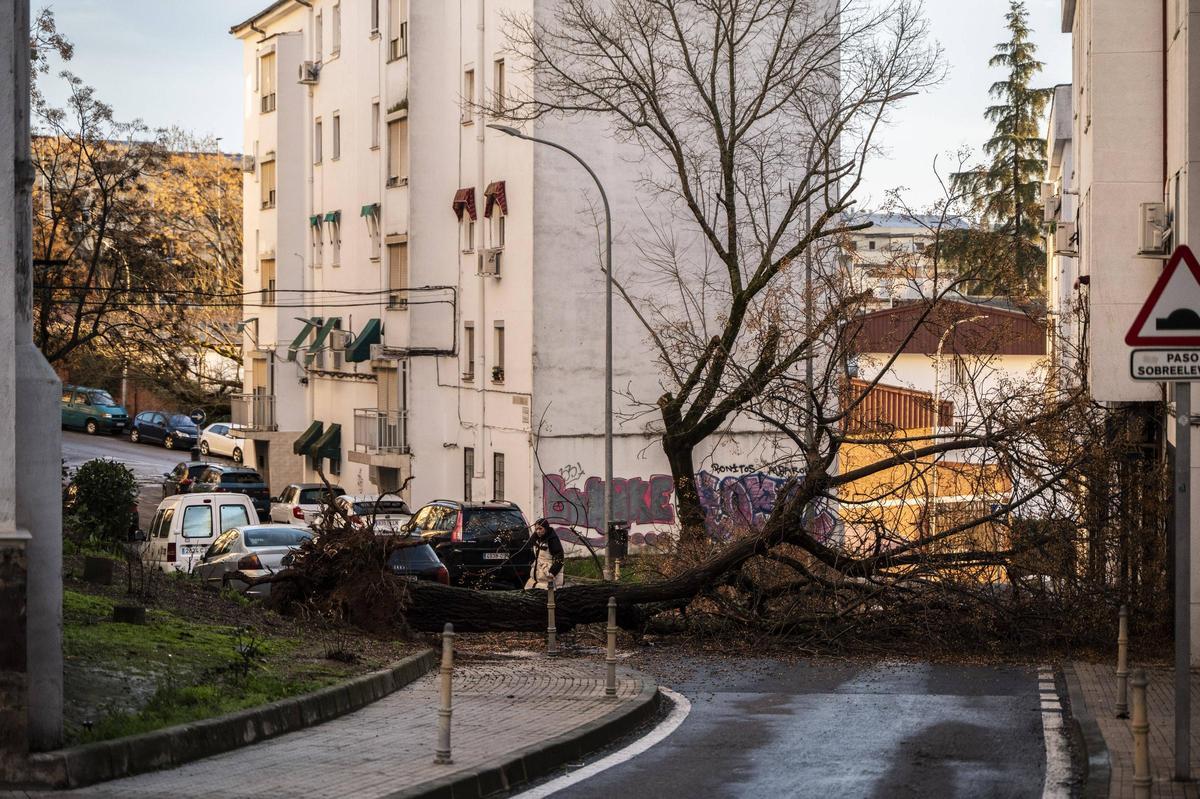Fotogalería | El temporal en Cáceres, más imágenes