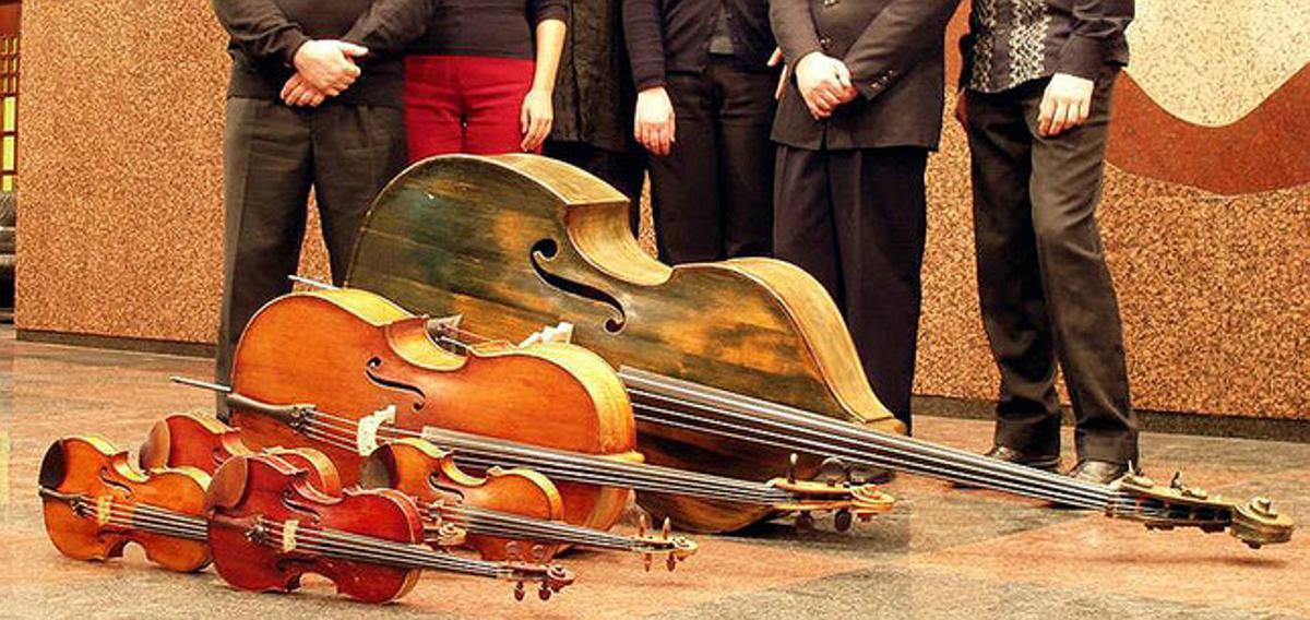 Instruments de corda.