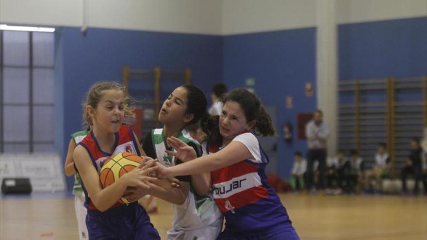 Los ‘babycracks’ del baloncesto