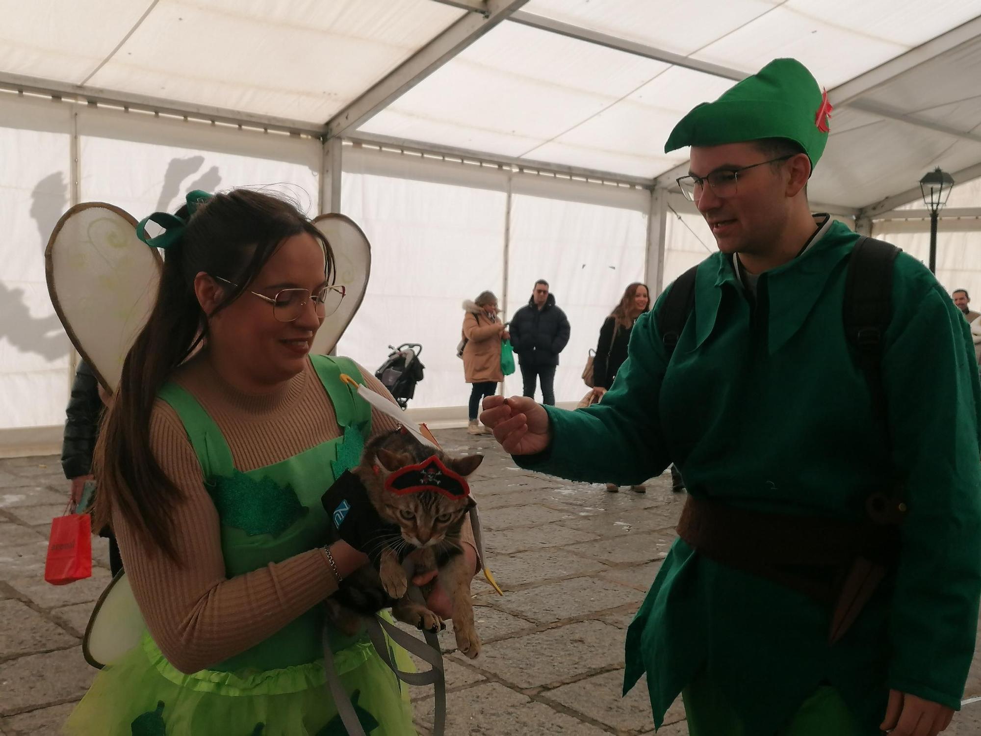 GALERÍA | Los animales se suman a la fiesta en el Carnaval de Toro