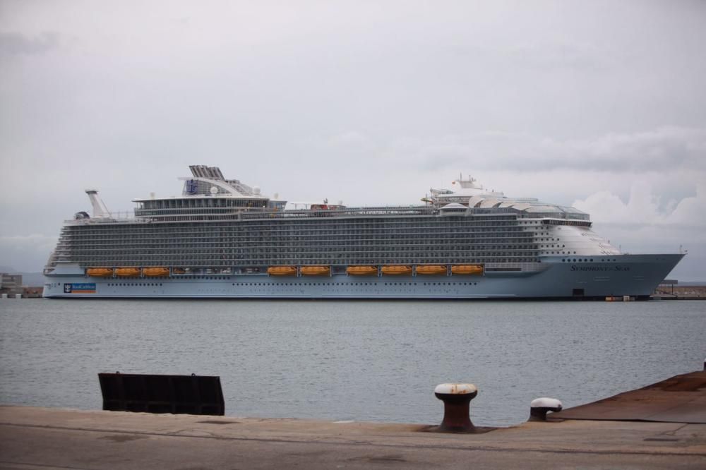 Rund 70 Personen haben am Sonntagmittag (8.4.) in Palma de Mallorca gegen Kreuzfahrtschiffe demonstriert. Anlass war die Ankunft des weltweit größten Kreuzfahrtschiffes "Symphony Of The Seas" im Hafen der Stadt.