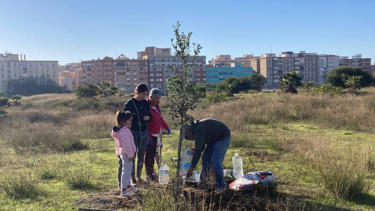 Bosque Urbano planta otros 30 árboles en los antiguos terrenos de Repsol