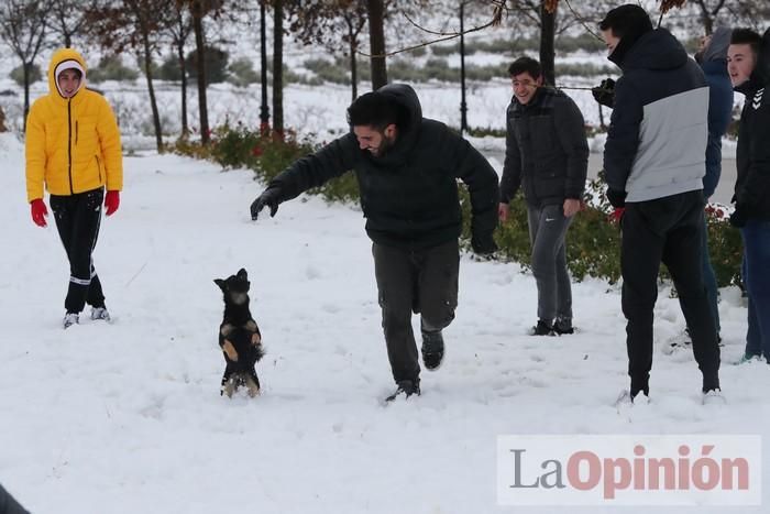 Nieve en Coy y Avilés (Lorca)