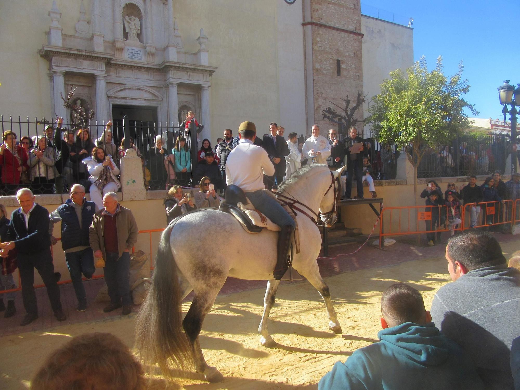 Burjassot bendice a sus animales por Sant Antoni