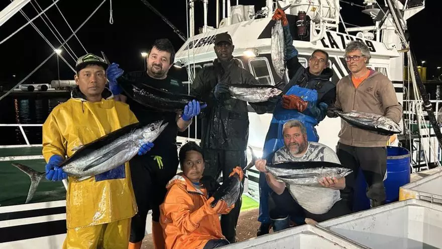 ¿Cuándo llegará el bonito (a buen precio) a las pescaderías de Asturias?: Ya hay "buenas señales"