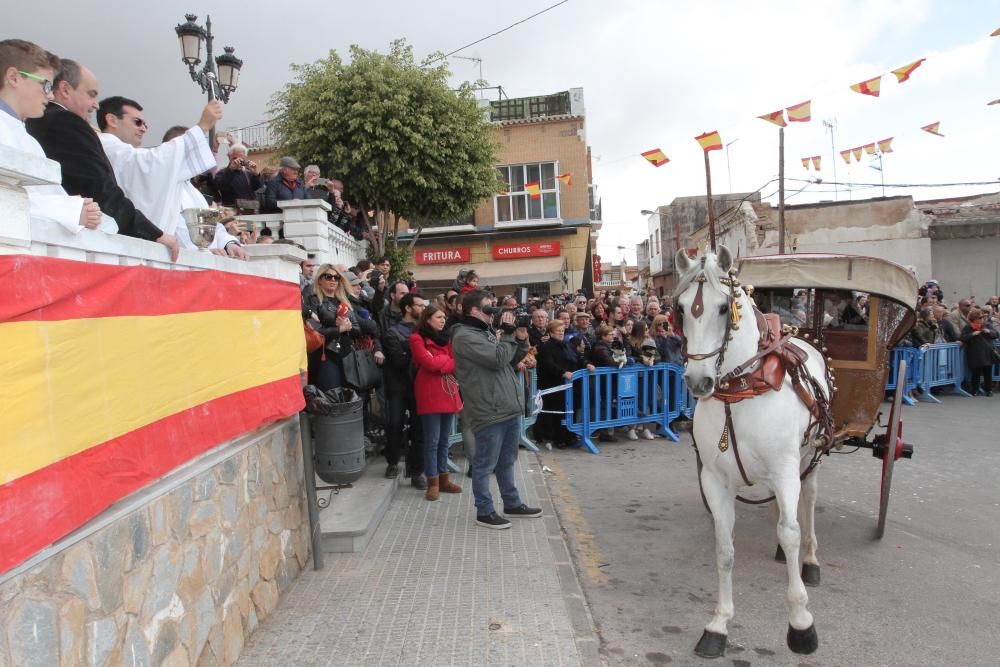 Bendición de los animales en Cartagena