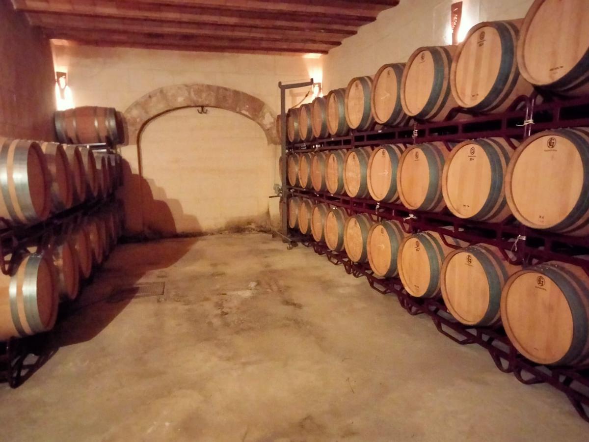 Vinya Taujana es el fruto de tres generaciones elaborando vino.