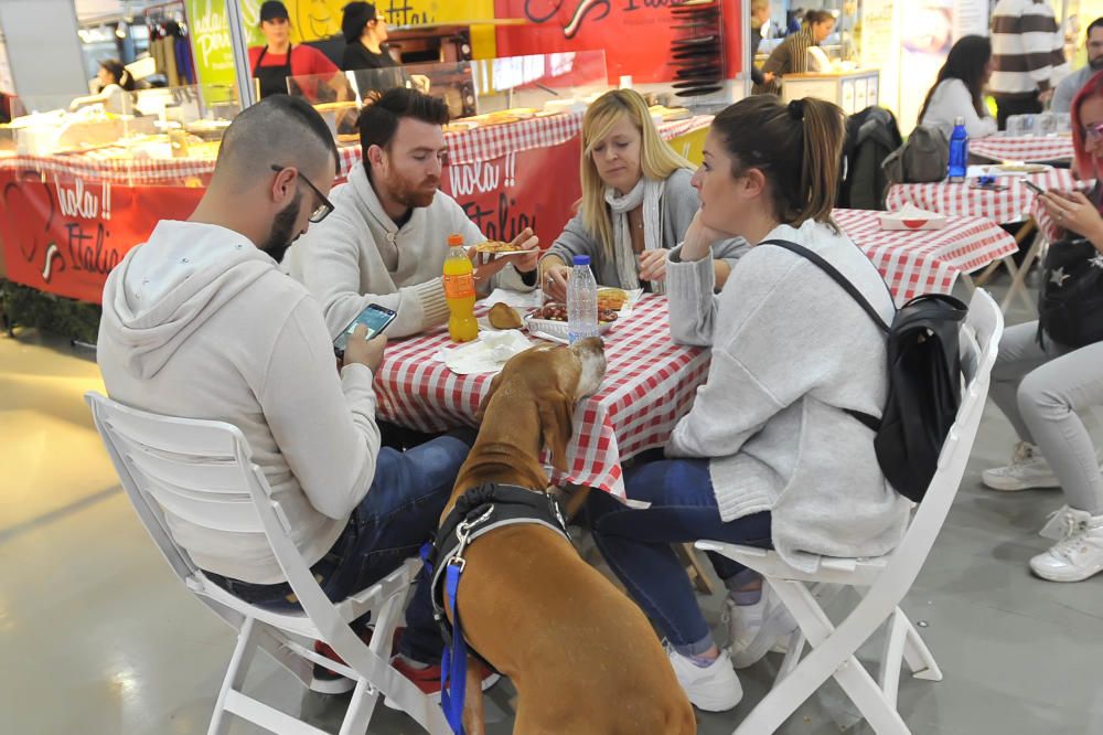 Las mejores imágenes de Expocachorro 2018 en IFA