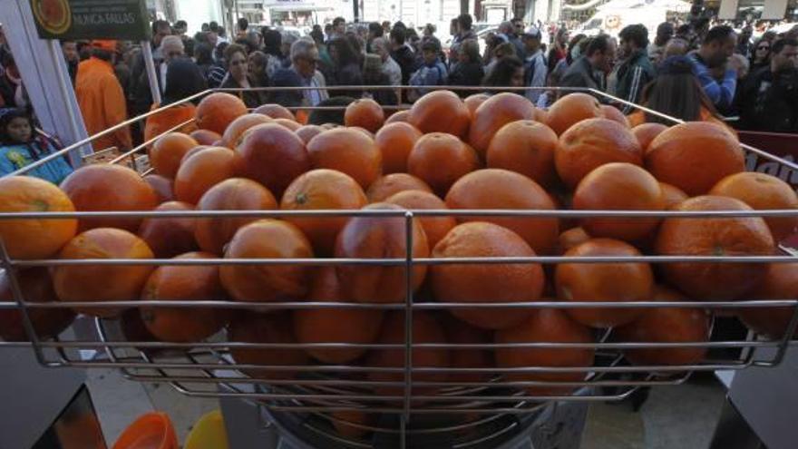 Naranjas sanguinas, en la bandeja de una máquina de exprimir.