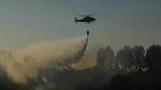 La Junta sospecha que el incendio de Villaralbo ha sido intencionado