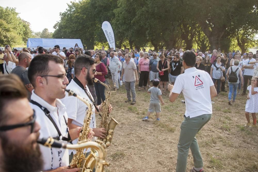 El alcalde de Vigo ofreció su pregón en una fiesta que sumó 8.000 comensales, mientras que las xoubas y el maíz fueron los protagonistas de las 37 propuestas del concurso.