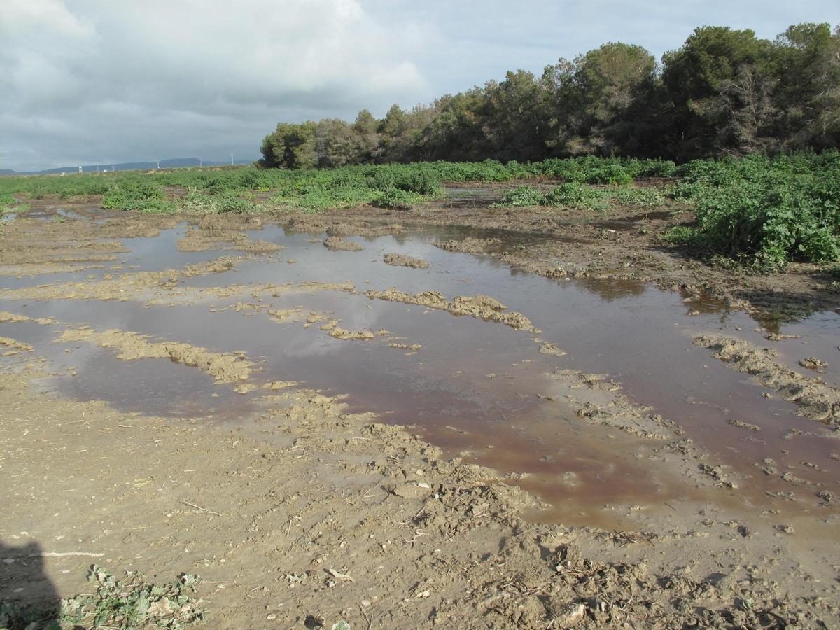 Los purines vertidos en el Canal de Monegros