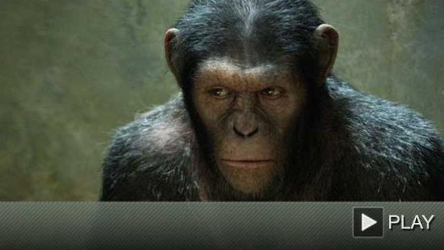 ¿Por qué no puede un simio optar a los Oscars?