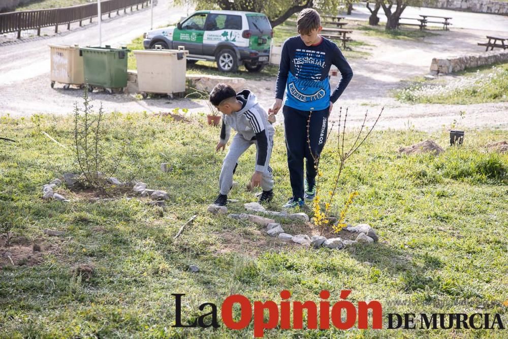 Reforestación en el paraje 'La Muralla' de Archive