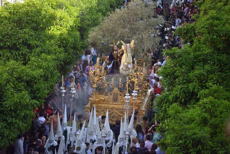 Domingo de Ramos en Córdoba