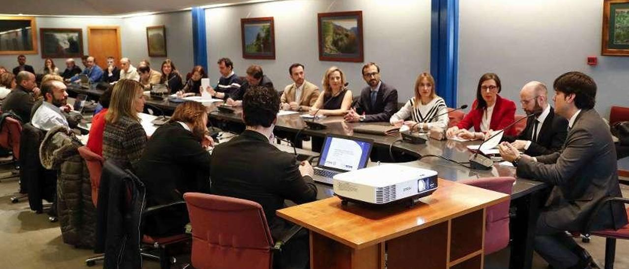 El consejero Borja Sánchez, primero por la derecha, presidiendo la última reunión para definir las dos grandes misiones científicas de Asturias, ayer, en la sala de juntas del edificio administrativo de servicios múltiples (EASMU).