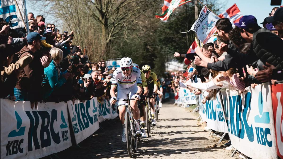 Pogacar y Van der Poel volverán a verse las caras en el Tour de Flandes 2026