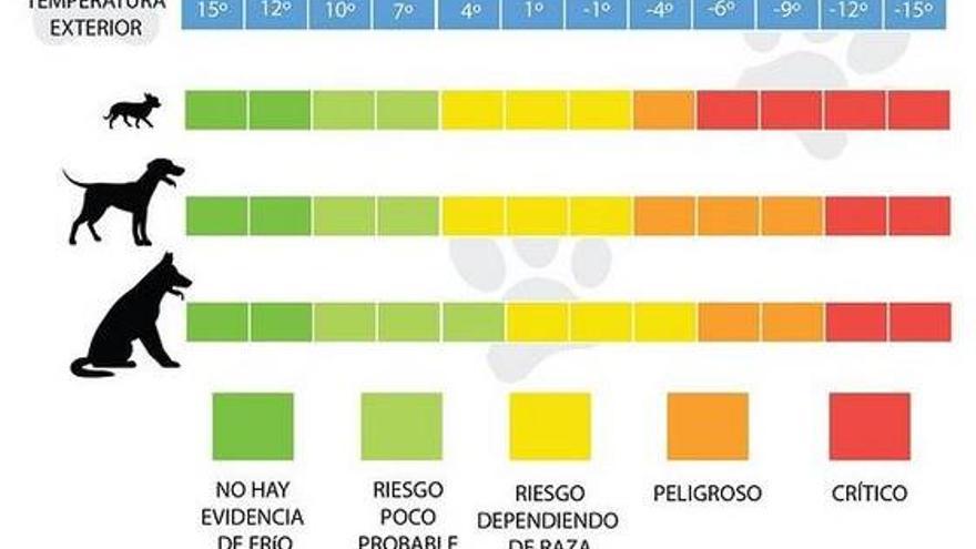 ¿Cuánto frío puede aguantar un perro?