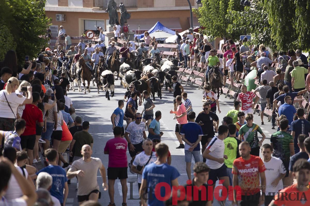 Sexto encierro de las Fiestas de Moratalla