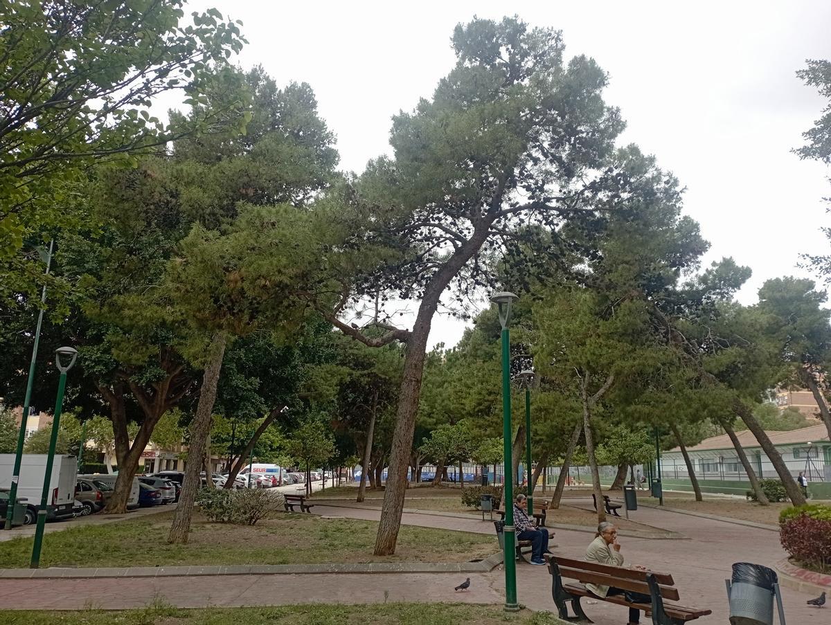 La zona de pinos del Parque de Santa María Goretti. Los vecinos piden más control de las procesionarias.