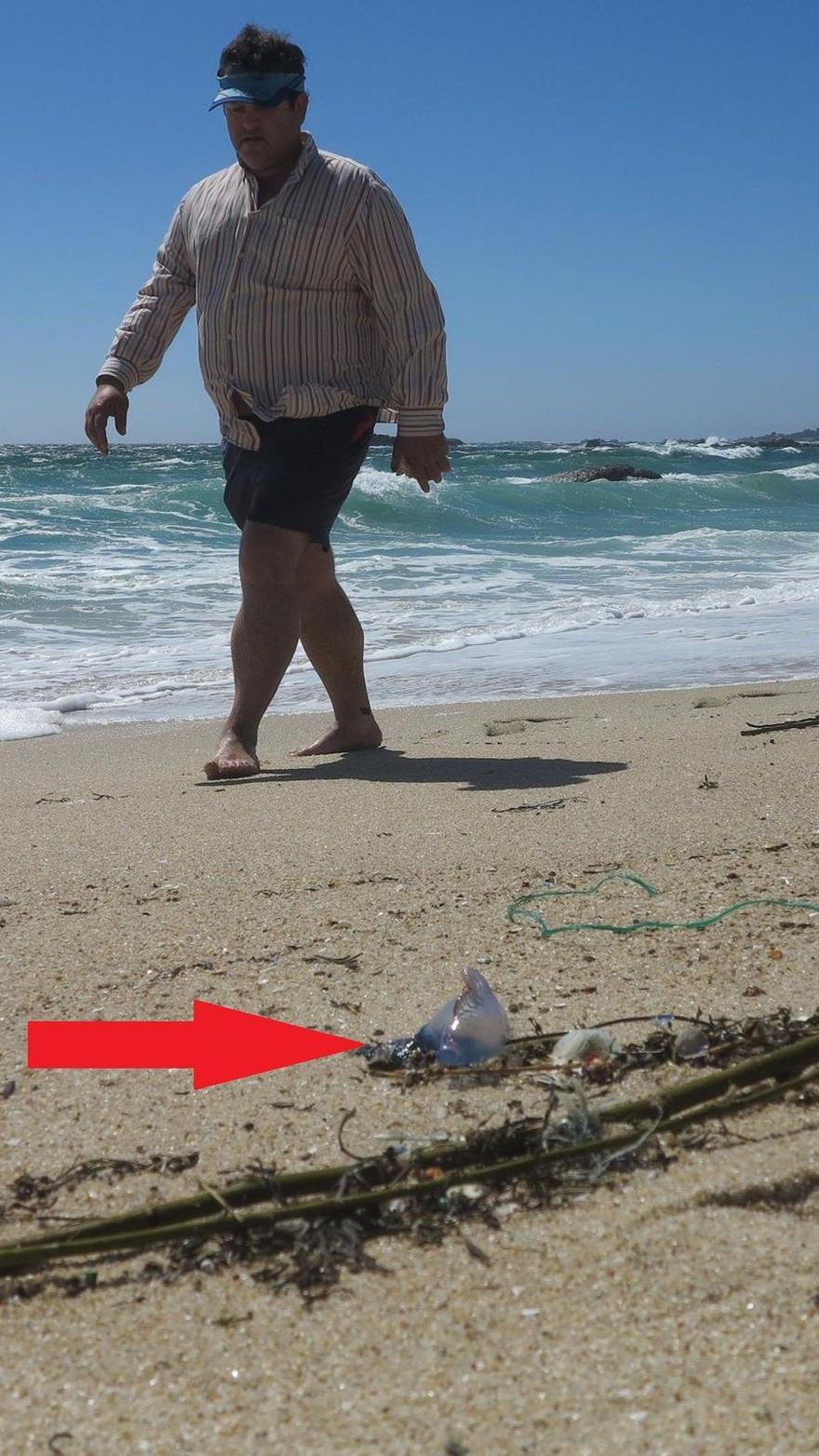 Imagen de archivo de una carabela portuguesa en las playas mecas.