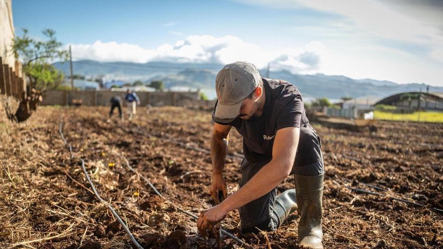 El Cabildo de Tenerife impulsa la digitalización del campo para optimizar el uso del agua frente a la sequía
