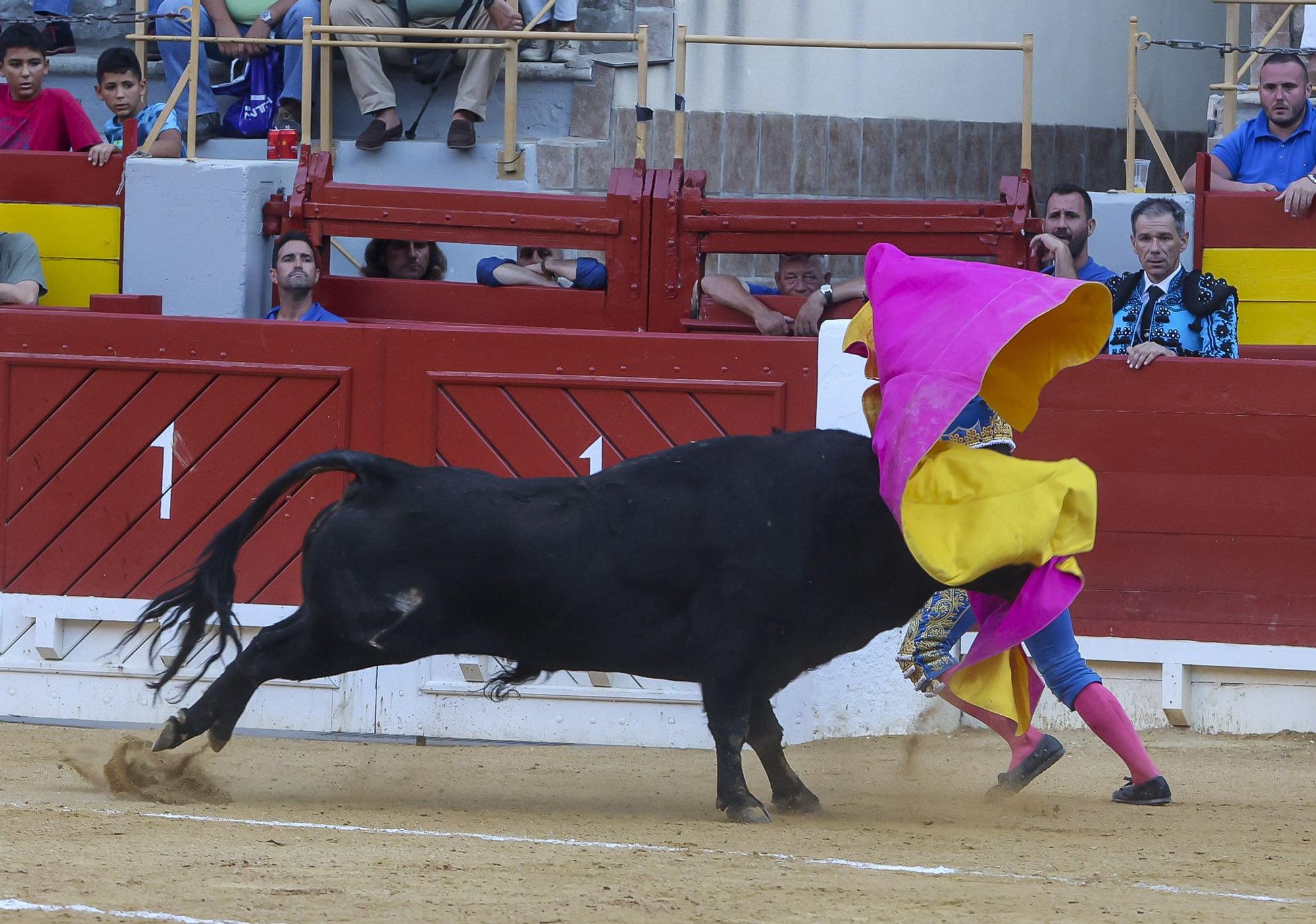 Novillada de Zacarías Moreno para cerrar la Feria de Hogueras