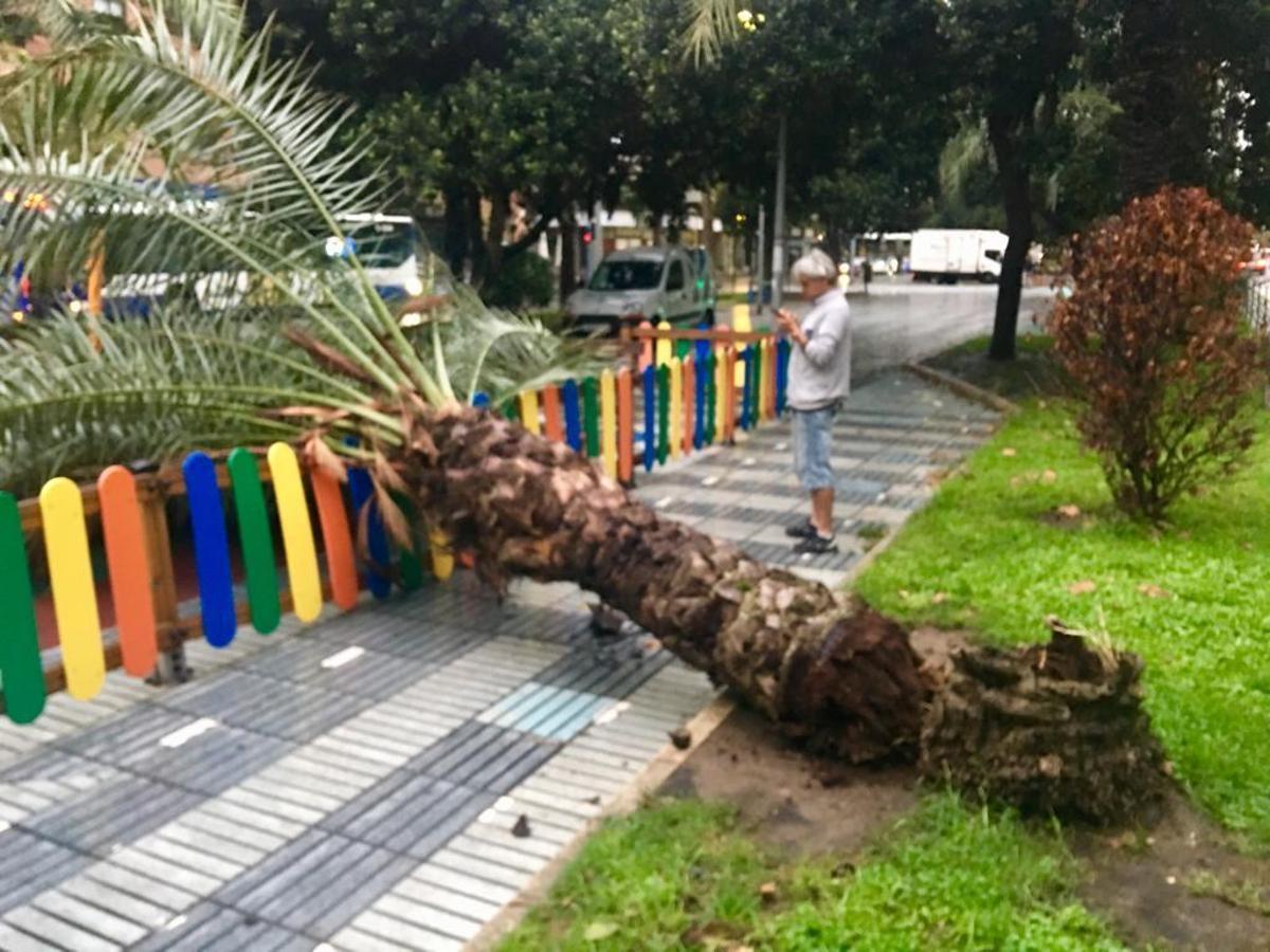 En directo | Más de 200 militares trabajan en las incidencias provocadas por la gota fría en Orihuela