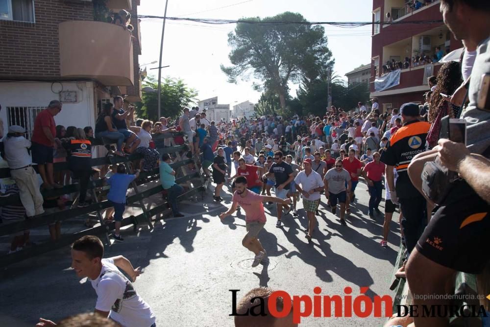 Primer encierro de Calasparra