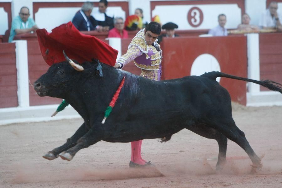 Toros en Zamora