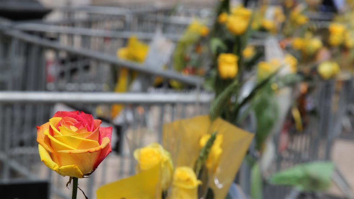 Rosas reivindicativas en las vallas frente al Palau de la Generalitat.