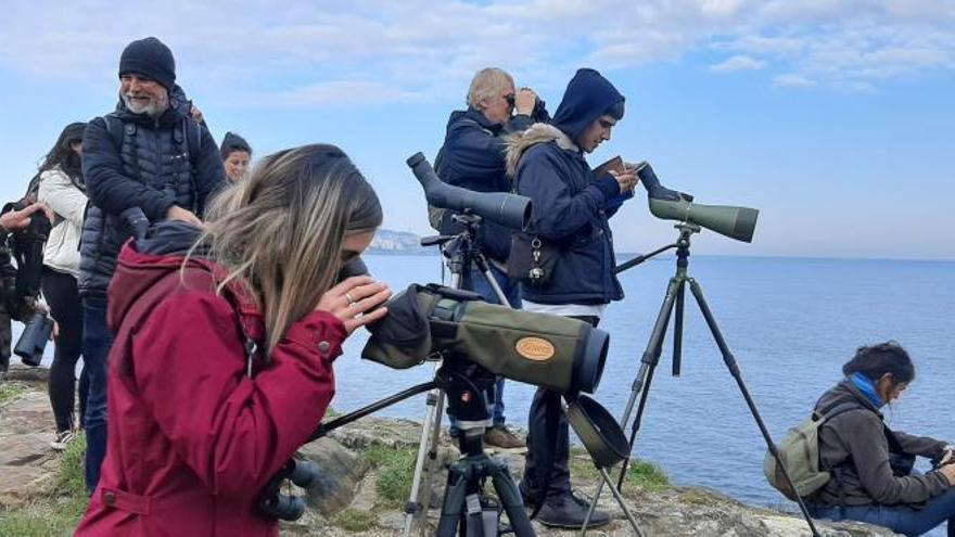 Observación de aves de los participantes en el Encuentro NatureWatch en la costa de Dexo.   | // CEIDA