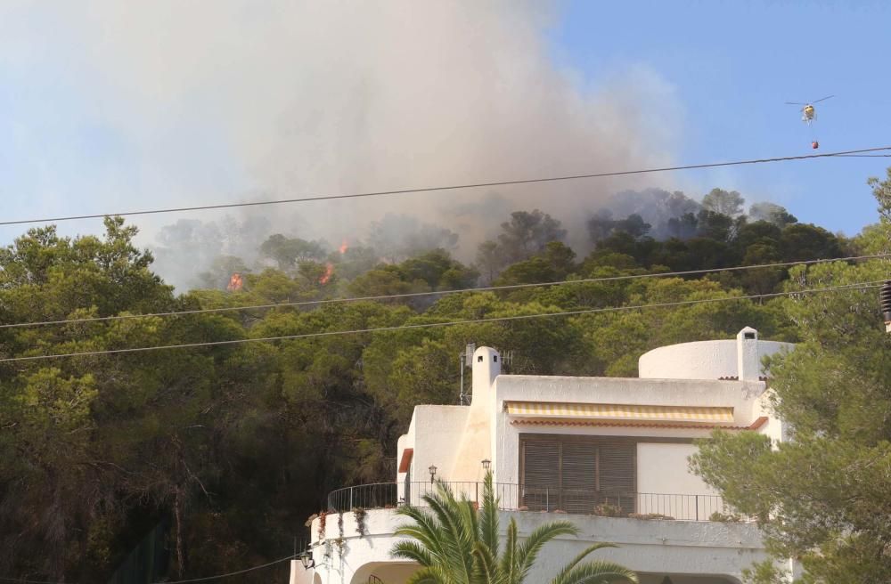 Efectivos y vecinos apagando el fuego