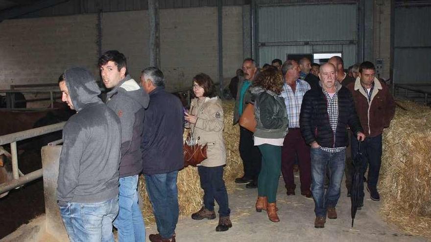 Los ganaderos langreanos en una explotación de reses de carne y, a la derecha, junto a Marcos Niño, alcalde de Santa Eulalia de Oscos.