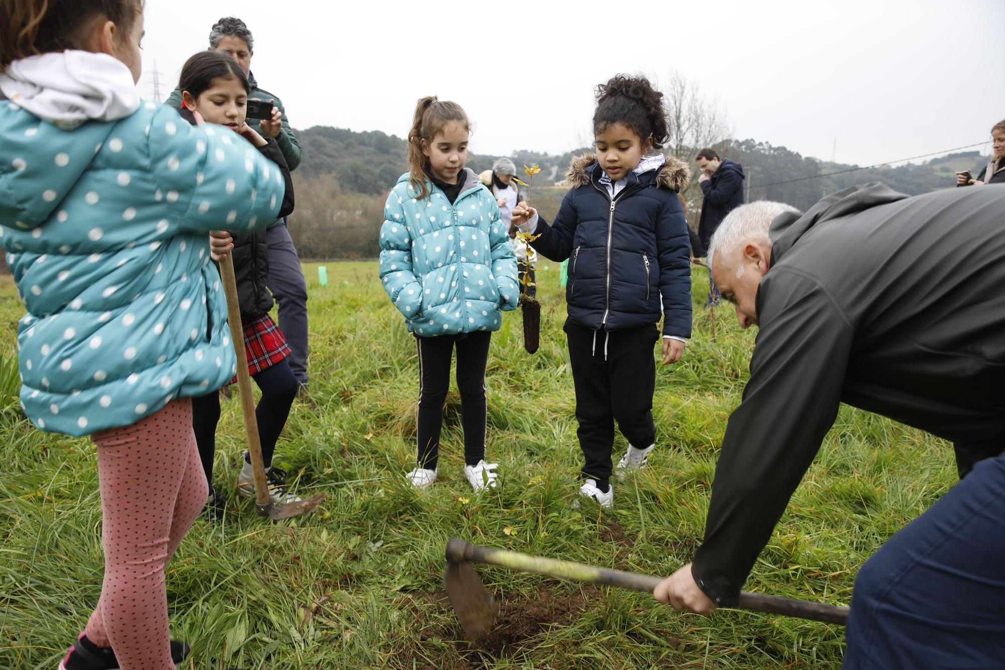 En imágenes: La alcaldesa de Gijón, en la plantación de árboles autóctonos en Somonte