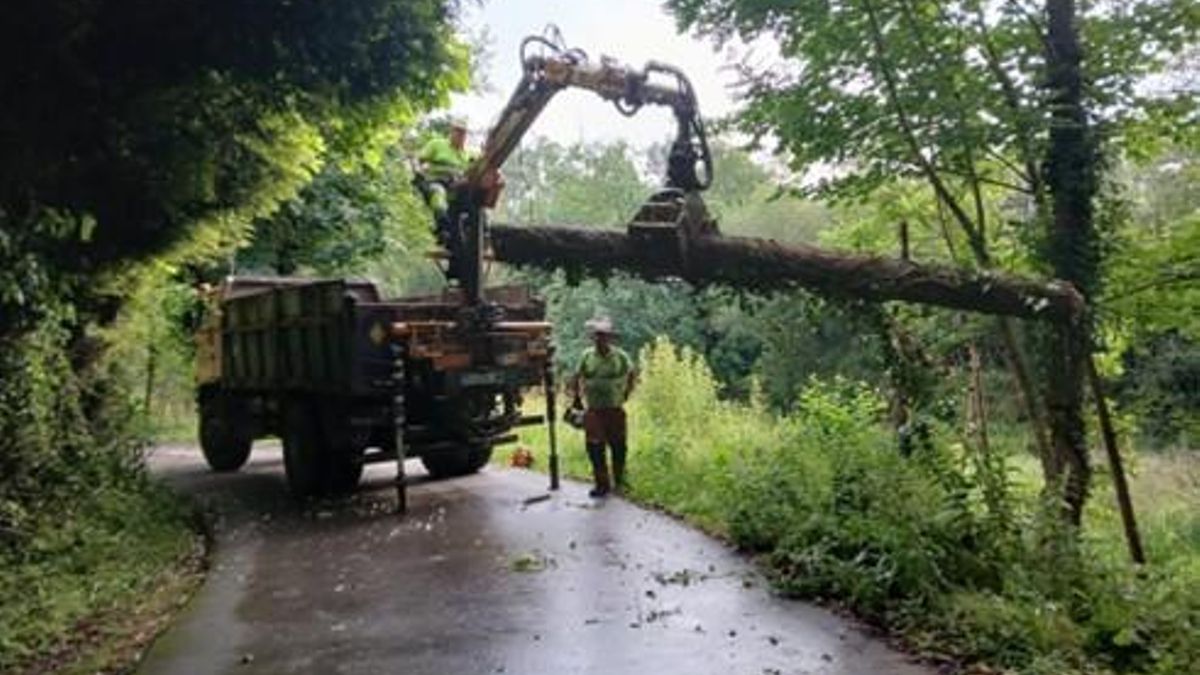 Trabajos de conservación en Llanes