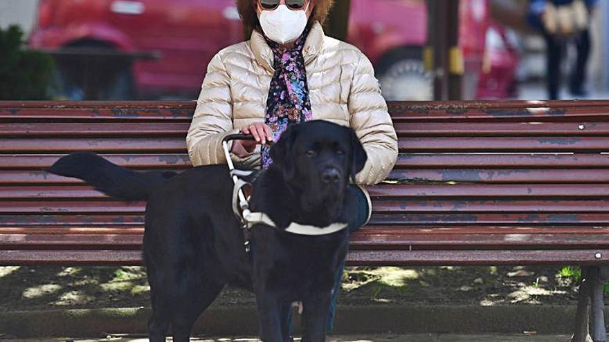 Cristina Fernández | Con perro guía desde 2002 : “Cuando voy sin Jared a algún sitio es como  si me faltase algo”