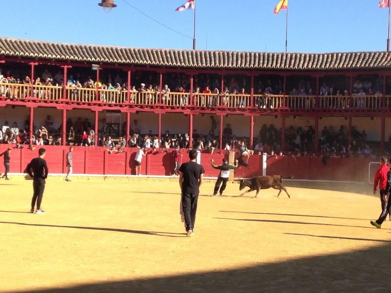 Toro de cajón y encierro urbano en Toro