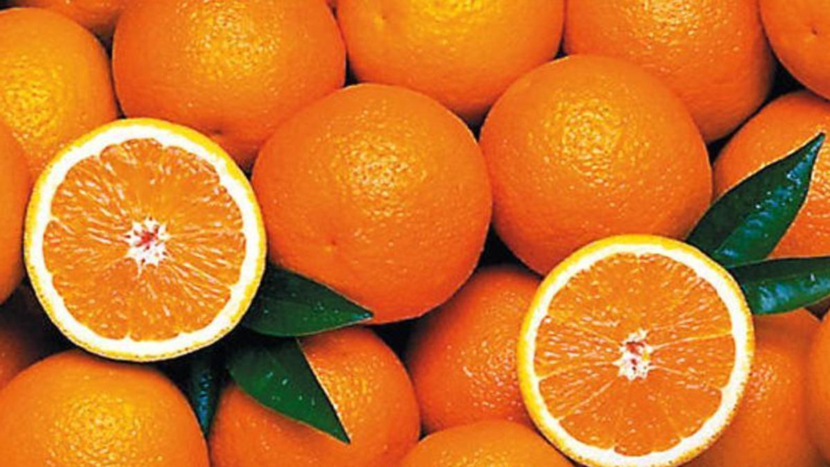 ¡Delicia indescriptible! flan de naranja frío con caramelo 10 Moncloa Se pueden consumir en ensaladas