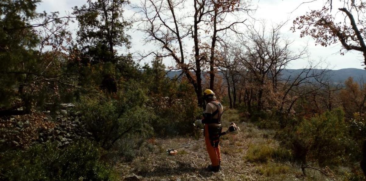 Trabajos de mantenimiento en el Parque Natural de la Sierra de Guara