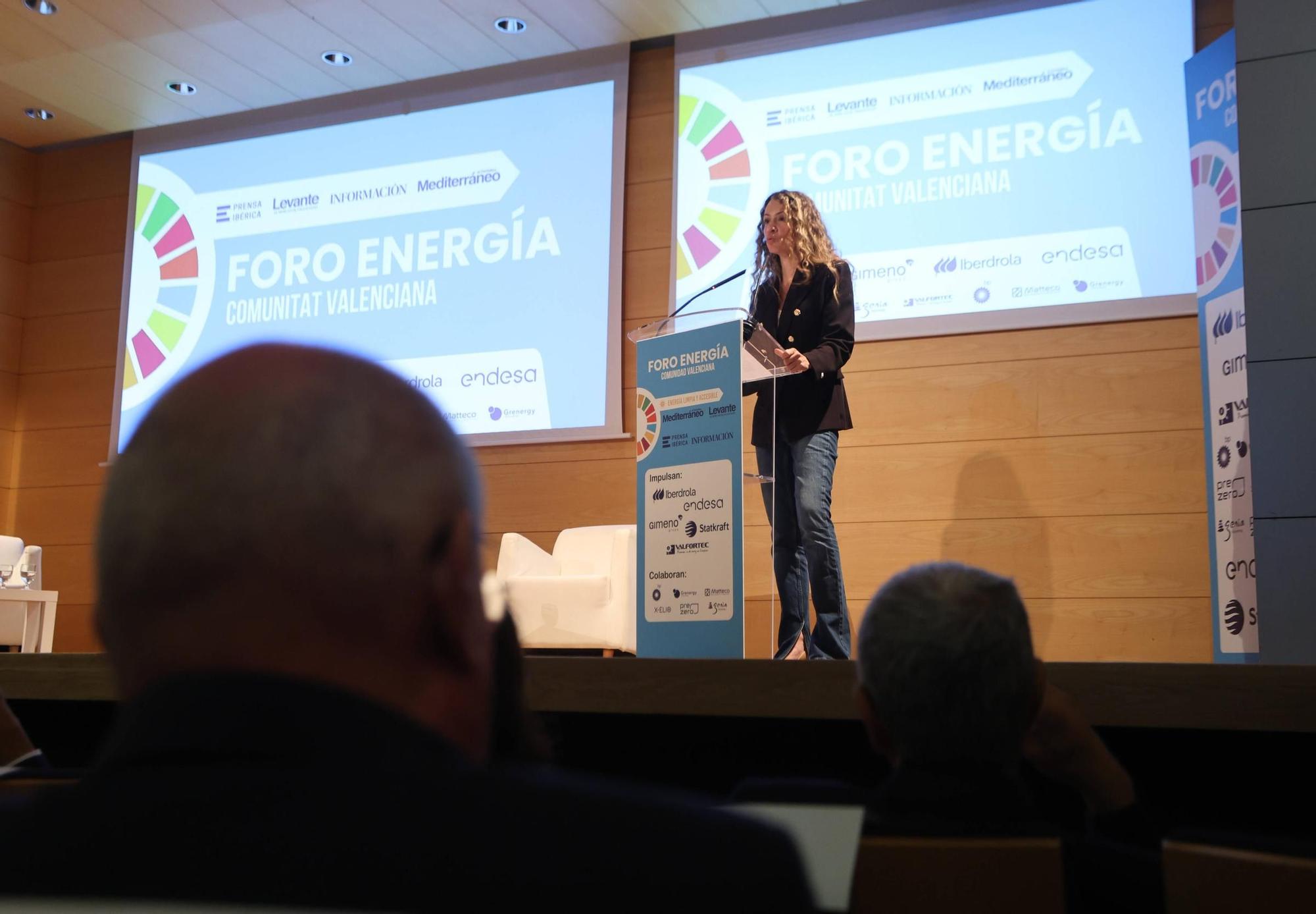 El II Foro de Energía de la Comunitat Valenciana, en imágenes