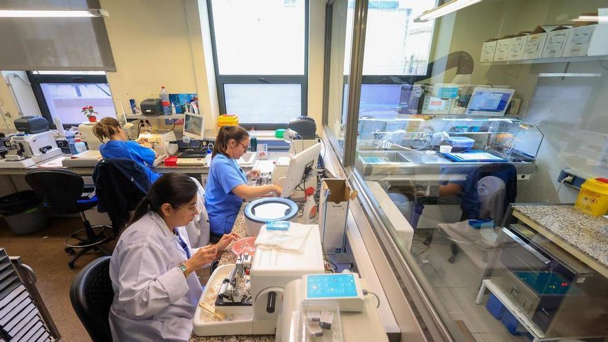 La Conselleria Sanidad ultima un ‘megaproceso’ para cubrir plazas médicas sin oposiciones a partir de 2027 en la Comunidad Valenciana