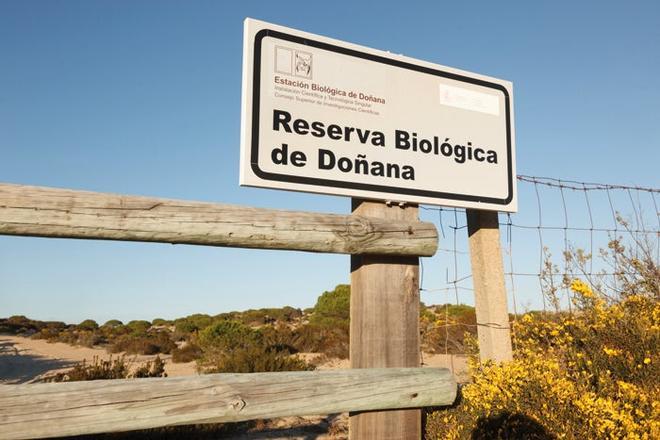 La Estación Biológica de Doñana, creada en 1965, investiga los ecosistemas de la zona