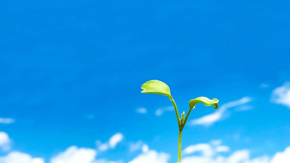Un planeta verde gracias a los ODS