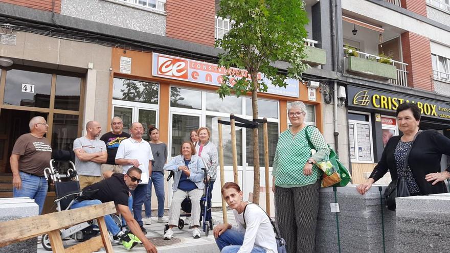Vecinos de la Pola protestan por los nuevos árboles de la calle Florencio Rodríguez: &quot;Llegan al segundo piso&quot;