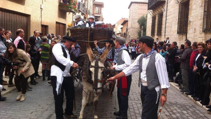 Desfile de carros en Toro